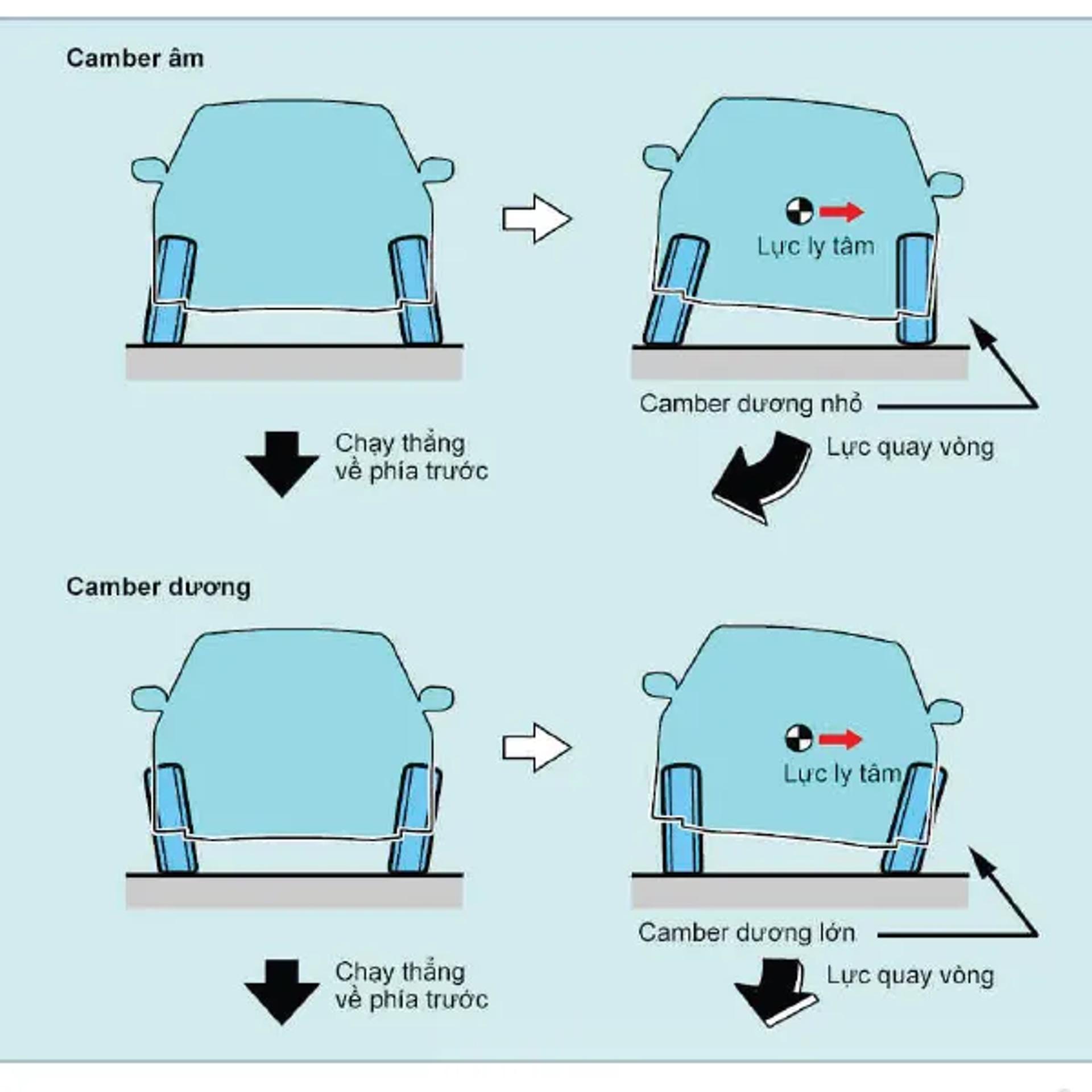 camber-ly-tam.webp