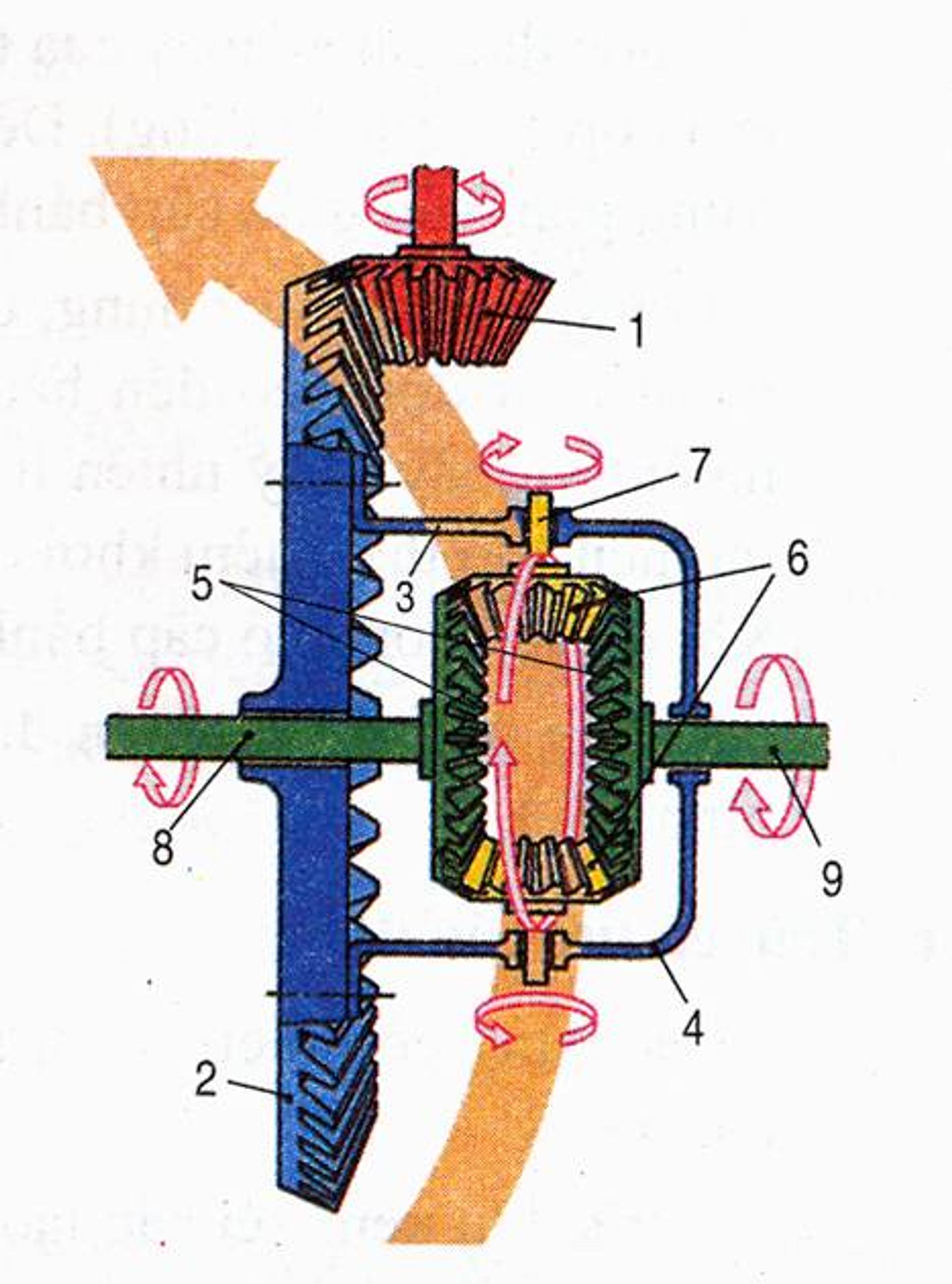 cau-tao-vi-sai-3.jpeg