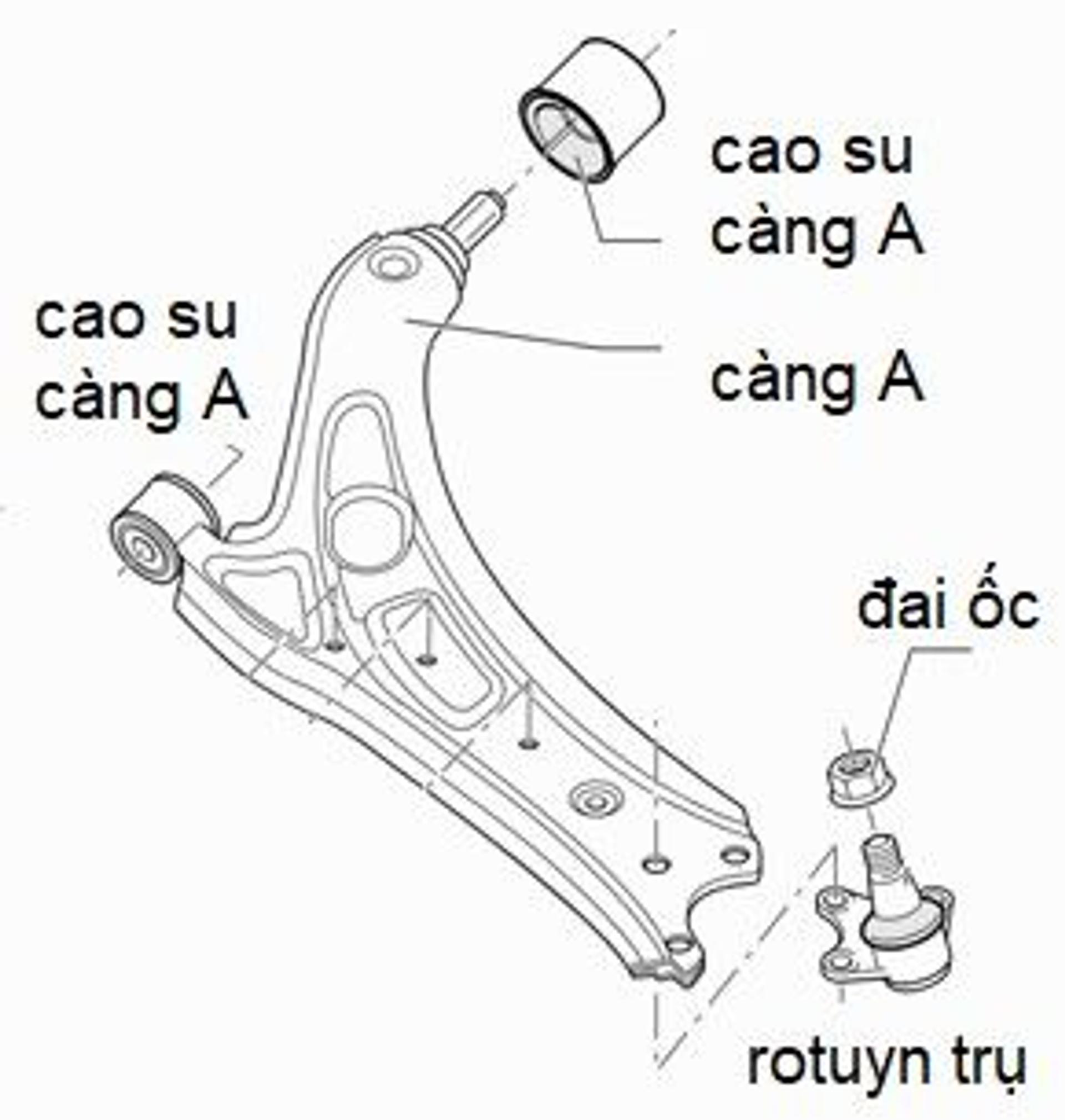 cấu tạo chữ A.jpeg